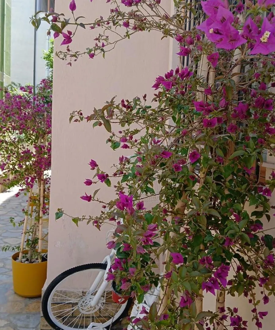 Vila Kulla Apartment Durres